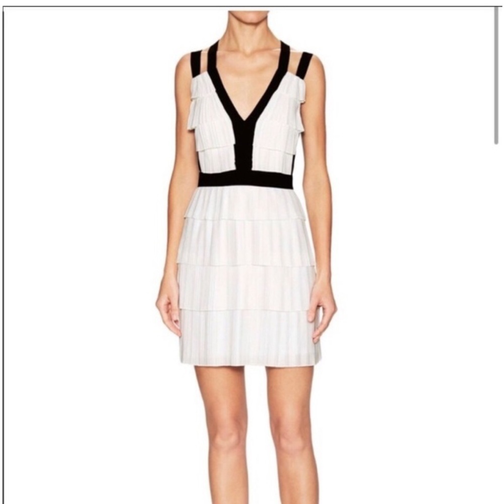 BCBG Elegant Black and White Tiered Dress